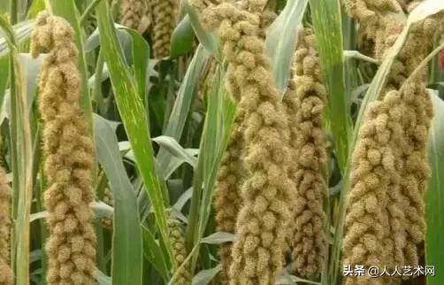 诸城简介,诸城是什么样的图片