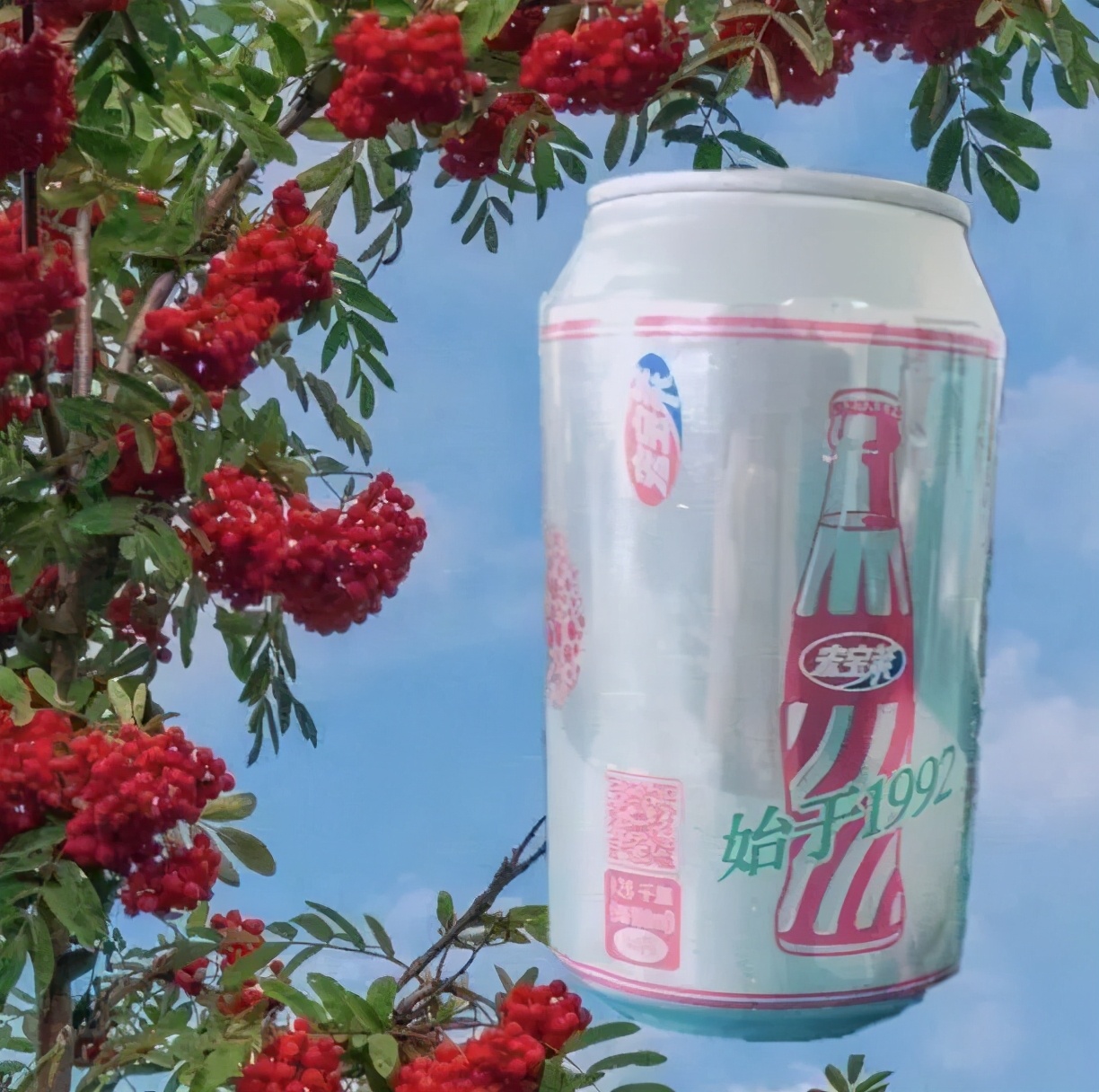 宏宝莱荔枝味和凤梨味哪个好喝,荔枝宏宝莱