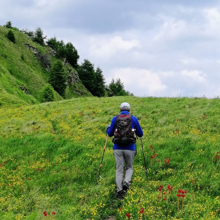 小五台山哪里进入景区,小五台山春天景色