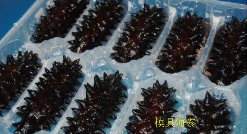 如何识别海参掺假,劣质海参怎么鉴别