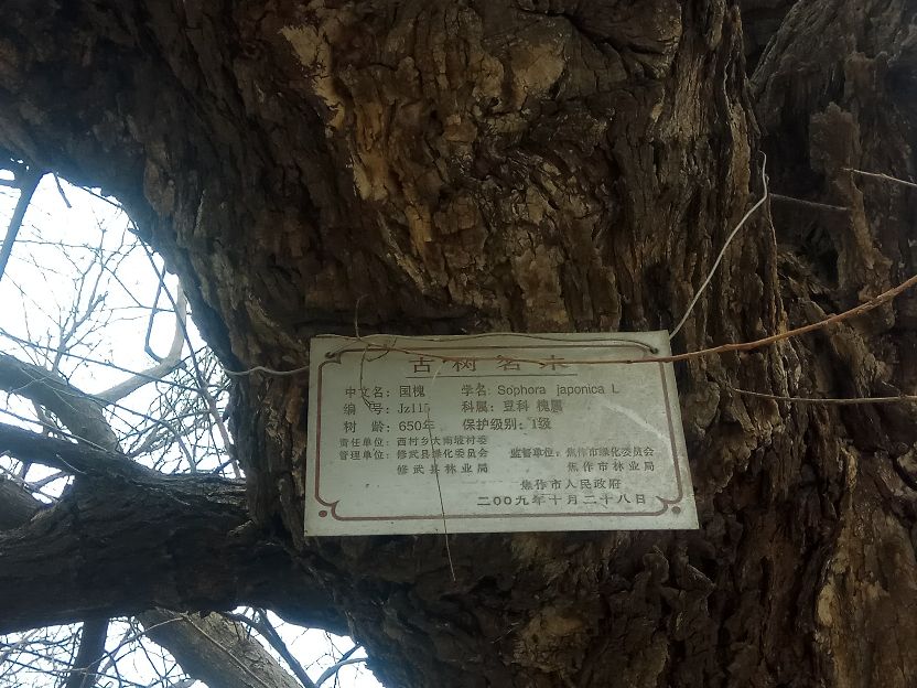 南坡村最近发生的事,南坡事件是怎么回事