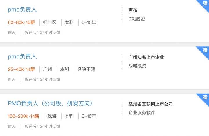 pmo岗位做什么,pmo职位是做什么的