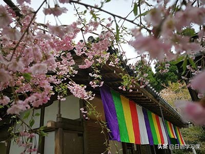 小白学日语如何快速提高口语,小白学日语视频教程