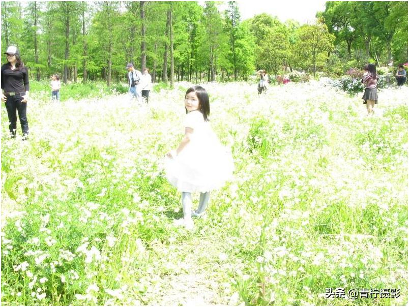 摄影光圈与景深的关系,大小光圈摄影有何区别