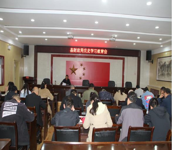 麟游县财政局：学*党**史见行动抓落实开新局