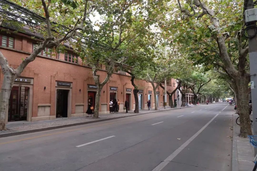 魔都网红马路视频,魔都值得散步的马路