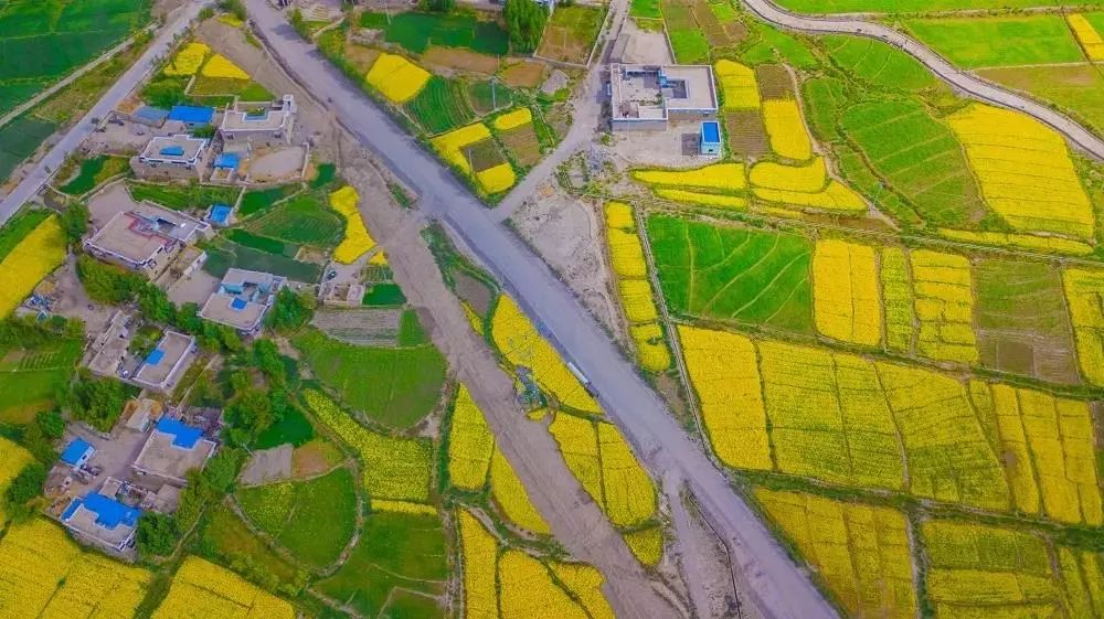 古墓探秘之破解南越王墓之谜,解密神秘王陵