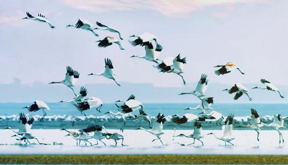 鄱阳湖吴城都昌,沉海昏