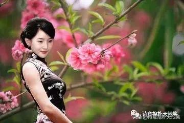 经典咏流传董卿康震,王立群经典诗词100首