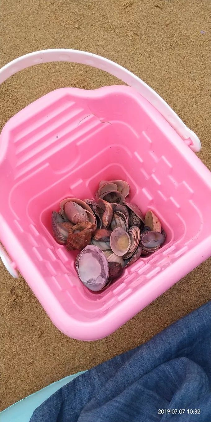 说走就走的一日游旅行,盖州市白沙湾旅游攻略