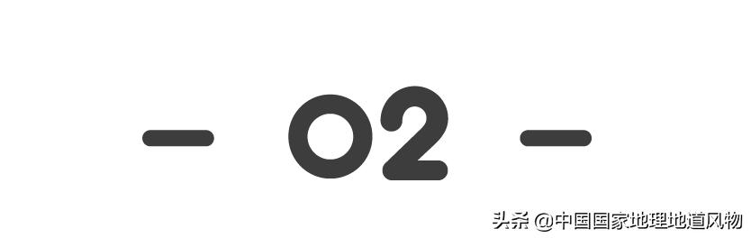 在酒缸里长大的人,泡在酒缸里的人