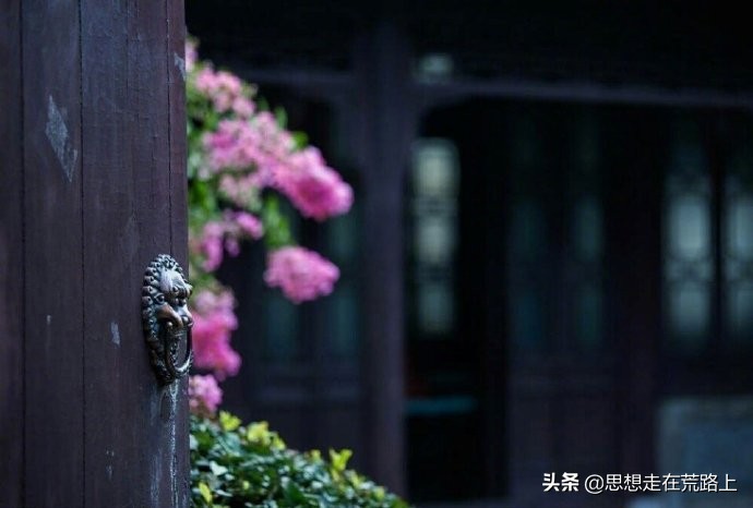 天才是最痛苦的叔本华,天才是一种啥样的人