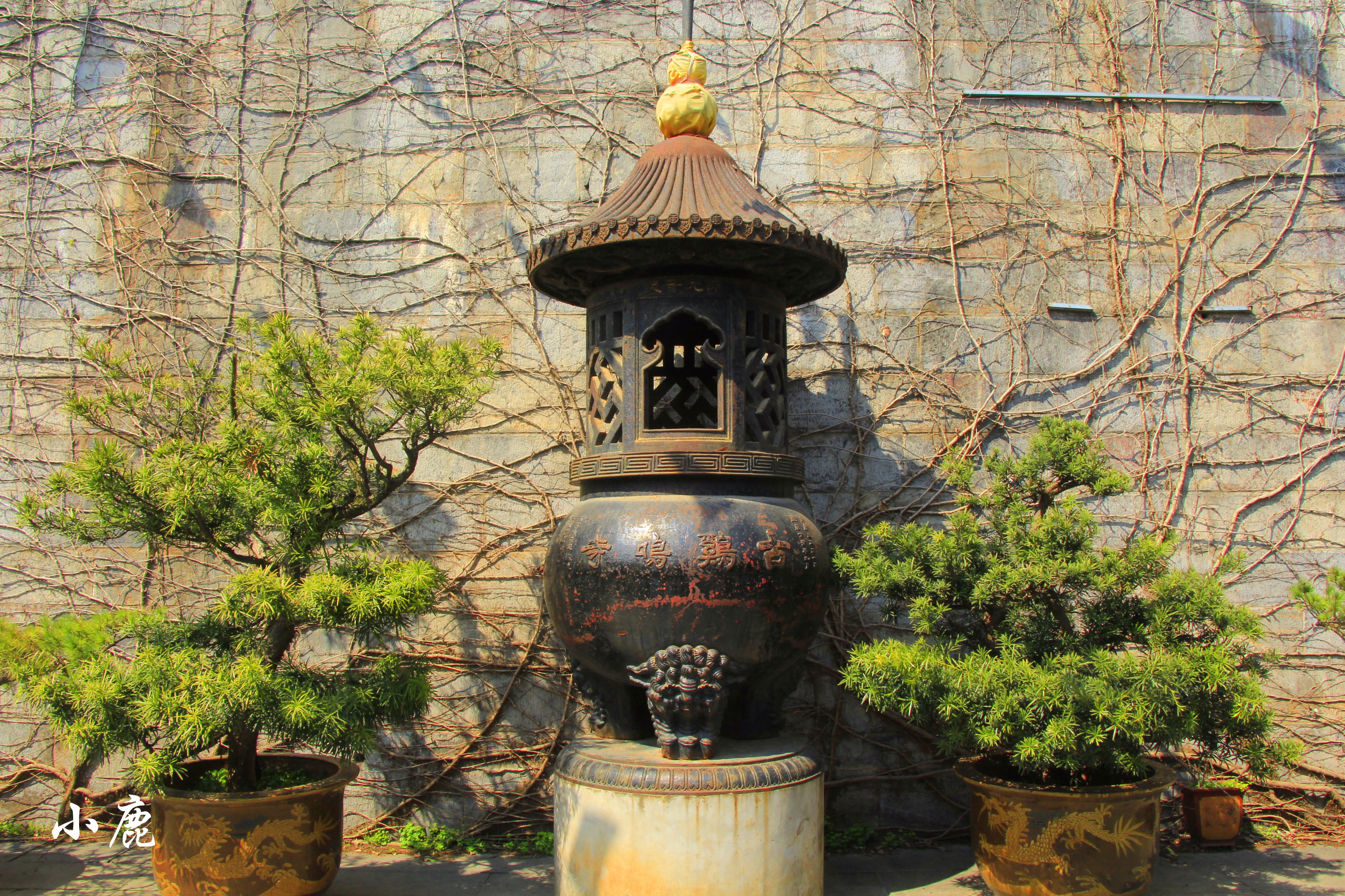 南京最值得一去的寺庙,南京一座免费开放的寺庙