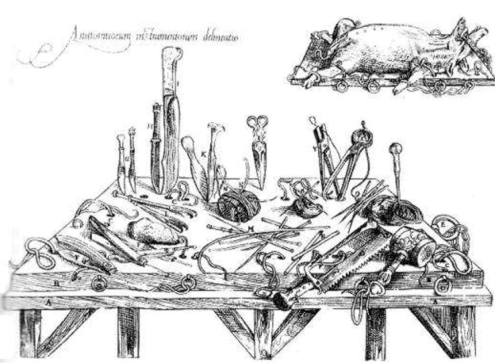 开膛手杰克的故事,开膛手杰克的过往