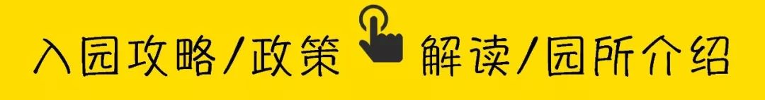 深圳十大顶级校服,高端校服幼儿园