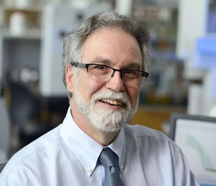 诺贝尔医学奖和癌症有关的研究,诺贝尔医学奖癌细胞