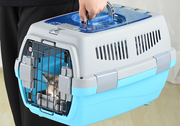 火车托运猫咪可以提前取回家吗 (大巴车托运猫咪需要注意什么)