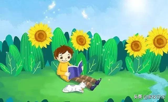 老师和学生的比喻句和拟人句,优美的比喻句拟人句排比句大全