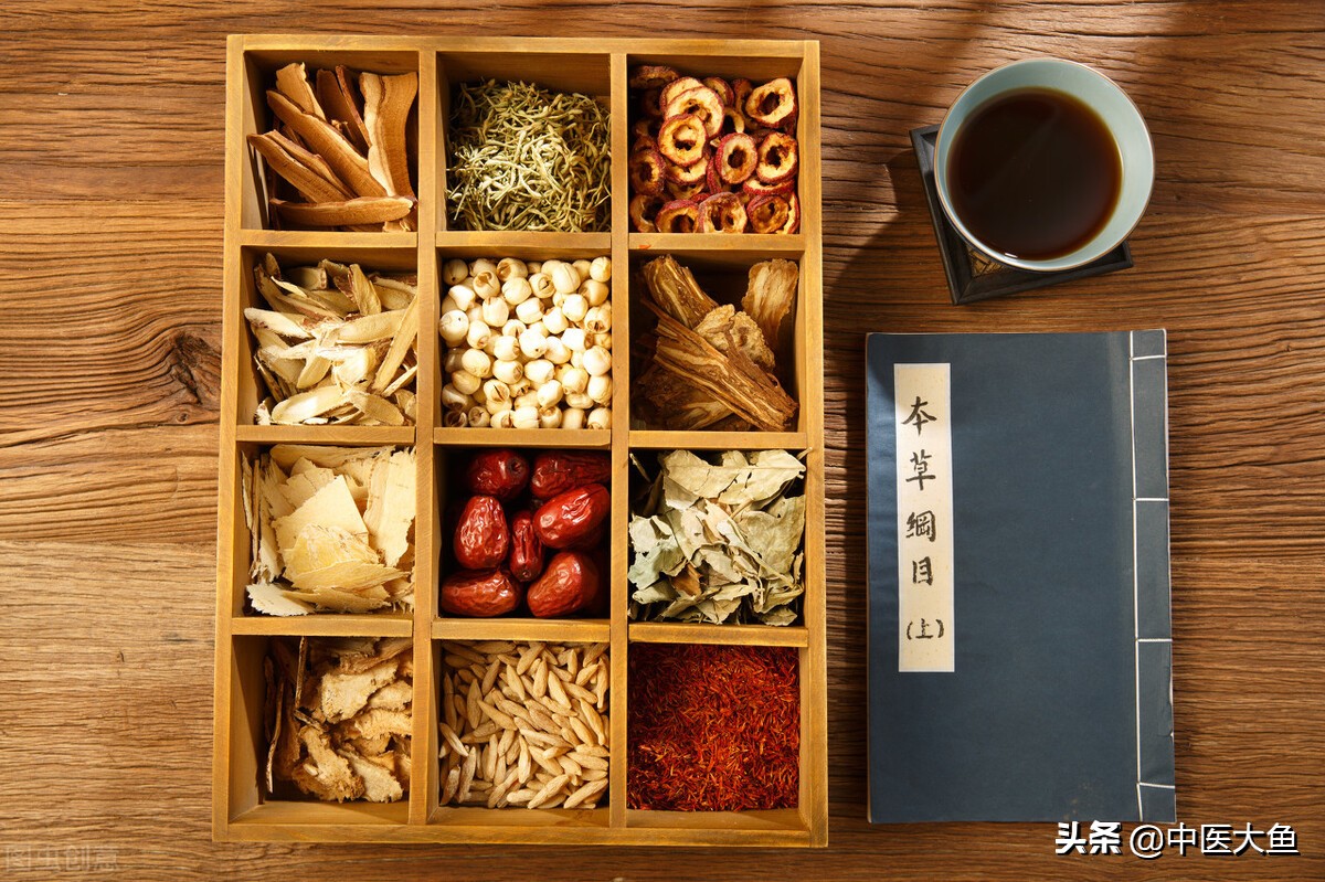 张廷模中药学讲稿27芩连柏龙胆苦参穿心莲秦皮