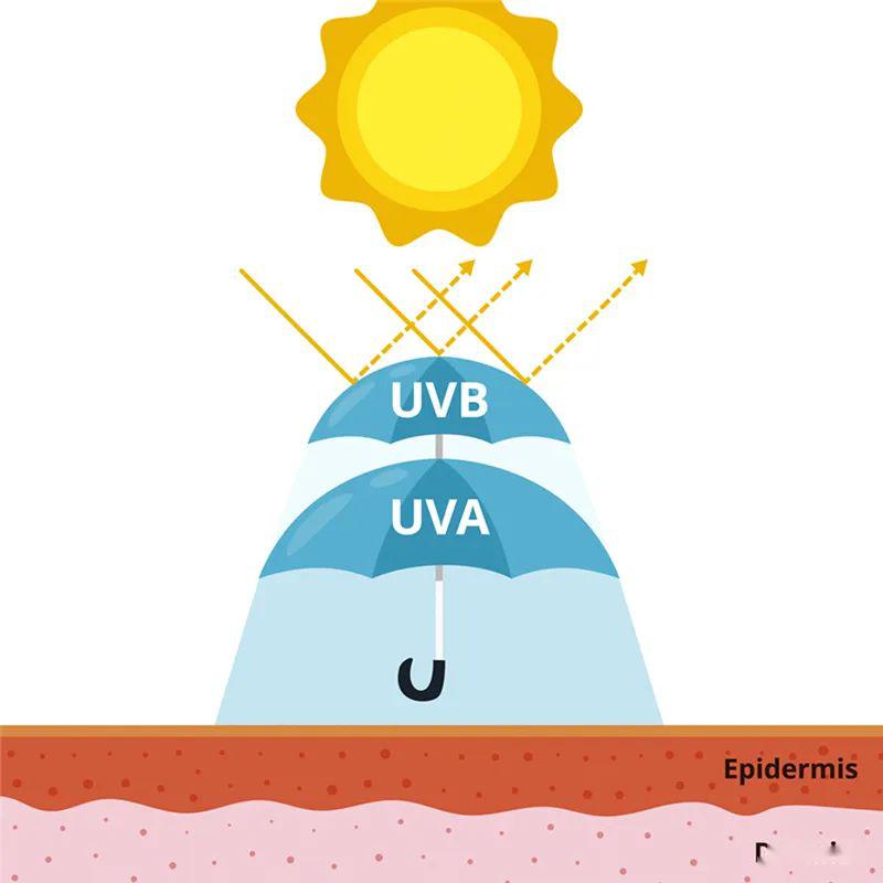 在防晒之前需要做什么,在防晒里面加什么容易过敏
