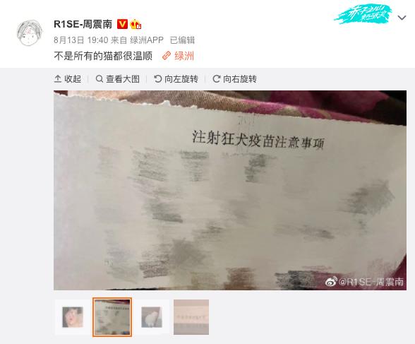 被猫抓出血了要不要打狂犬,被家猫抓伤出血要打狂犬疫苗吗