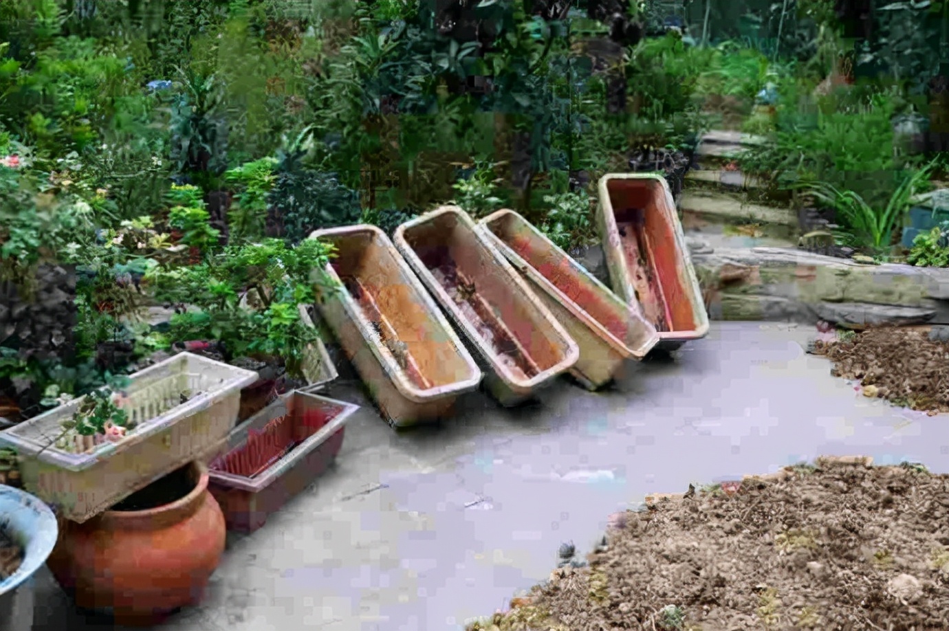 不花钱自制养花土可以吗,养花用过的旧土怎么处理