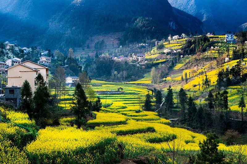 重庆北碚清明节踏青好去处,重庆巴南踏青一日游最佳攻略