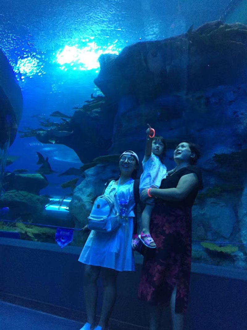 全球最大的长隆海洋公园,沉浸式参观长隆海洋王国