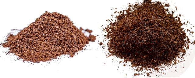 在家种蘑菇菌包靠谱吗,家种蘑菇菌包