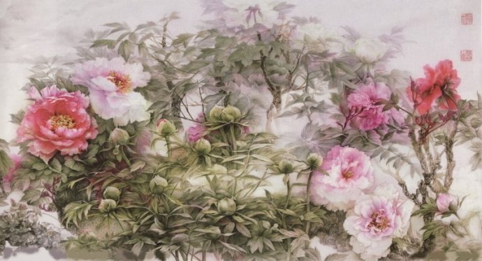 二十张惊艳的鲜花图片美图欣赏,好看的鲜花绝美图片