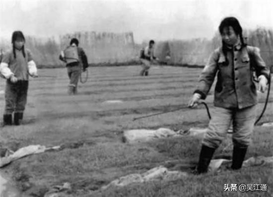 鎴戠粡鍘嗙殑鐤儏,鎴戠粡鍘嗙殑鎶楃柅鏁呬簨