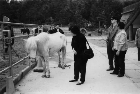 西游记玉帝吓得钻桌子片段,西游记玉帝三大经典片段