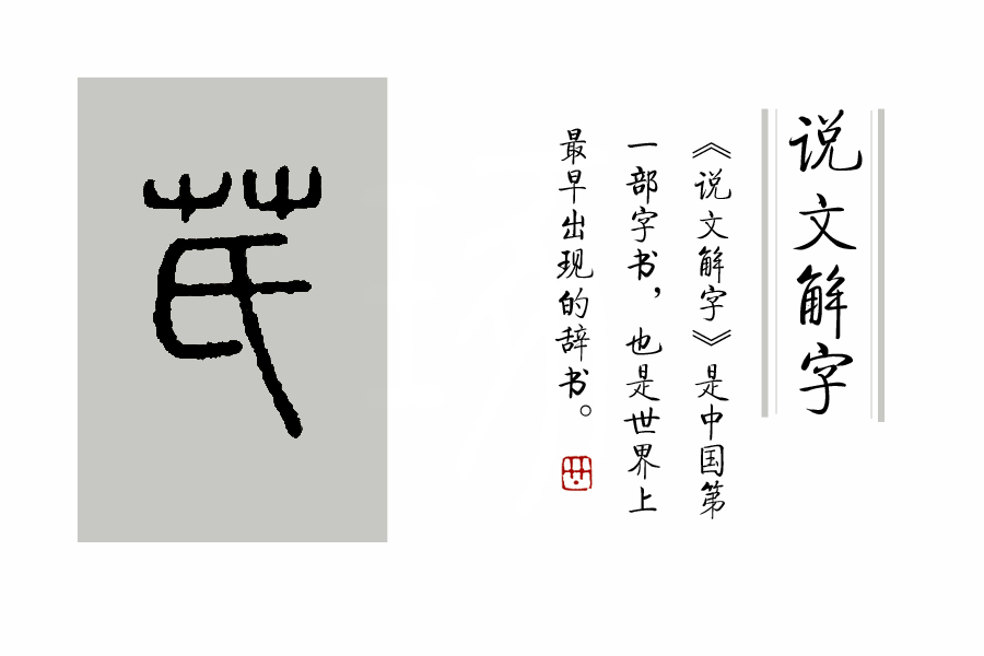 菊花在古代被古人称为什么之一,古代菊花的别称是什么