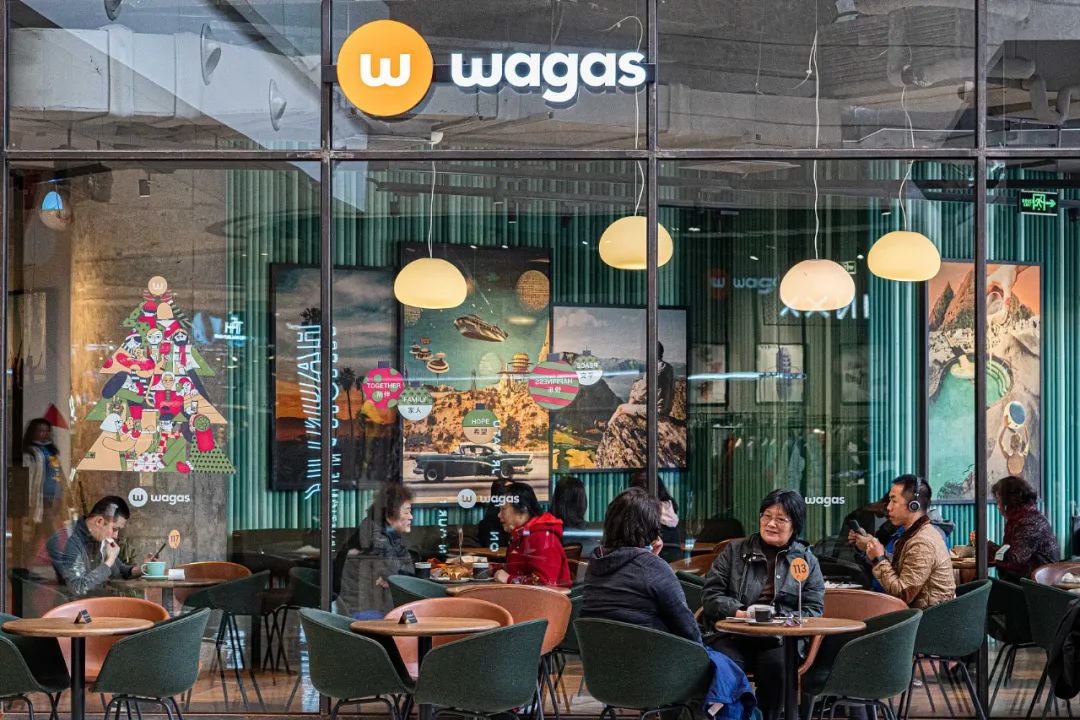 撸猫剧本杀新都,济南撸猫剧本杀