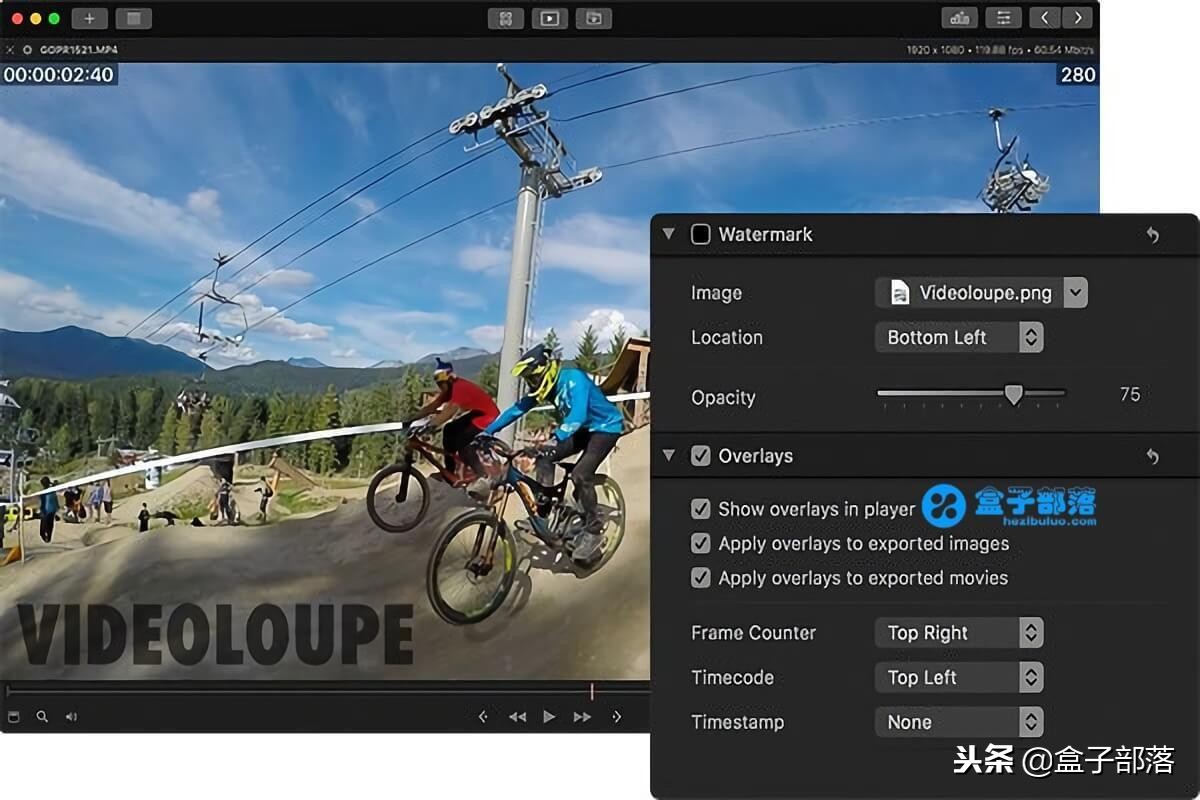 一款免费的媒体*放播**器与专业视频编辑套件Videoloupev1.2.1