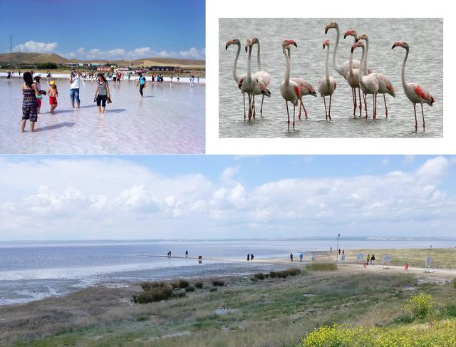 世界最低最咸的湖死海,世界十大死海排名