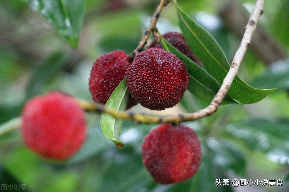 洗杨梅用什么样的盐好一点,洗杨梅放盐