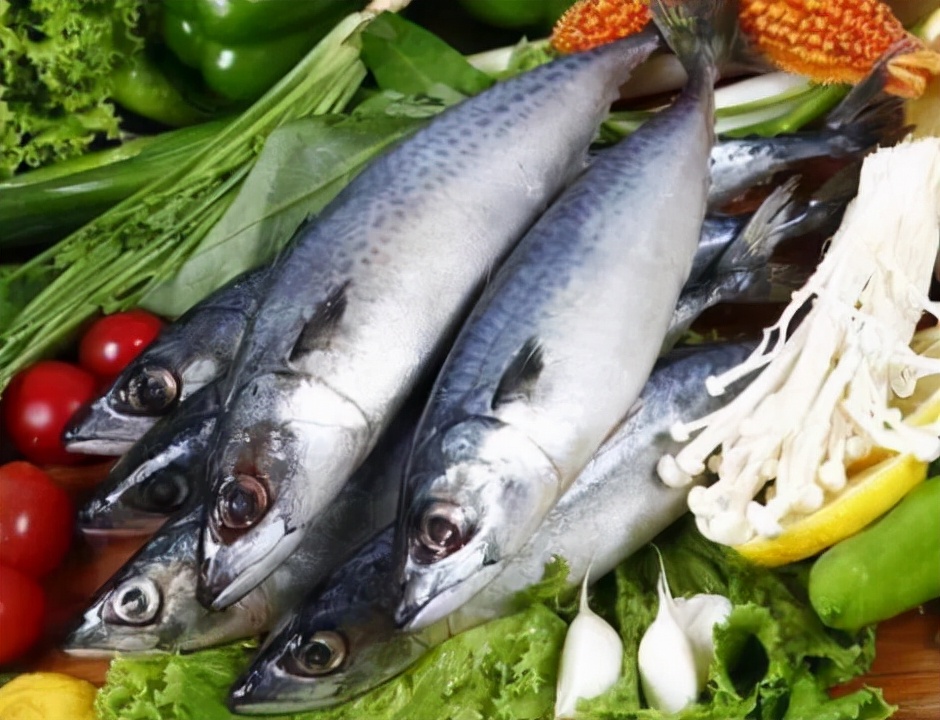 5种无法人工养殖的野生海鱼,哪些食用海鱼可以人工养殖