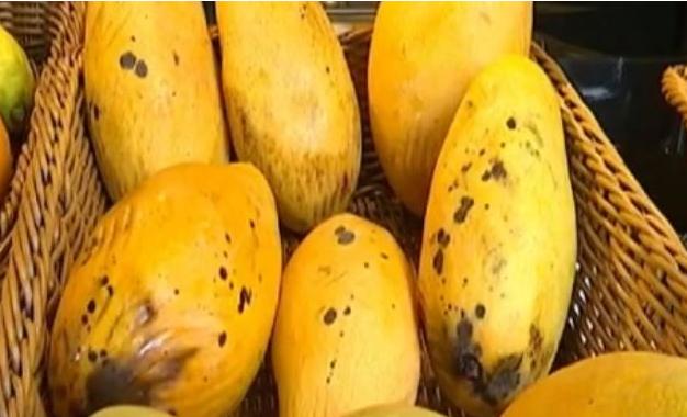 芒果内部发黑是不是坏了,芒果发黑腐烂是怎么回事