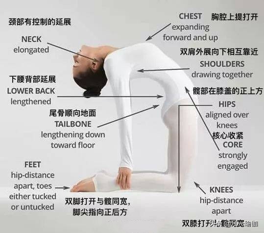 一篇文章两项内容，27张瑜伽细节图加练习注意事项，分享给大家