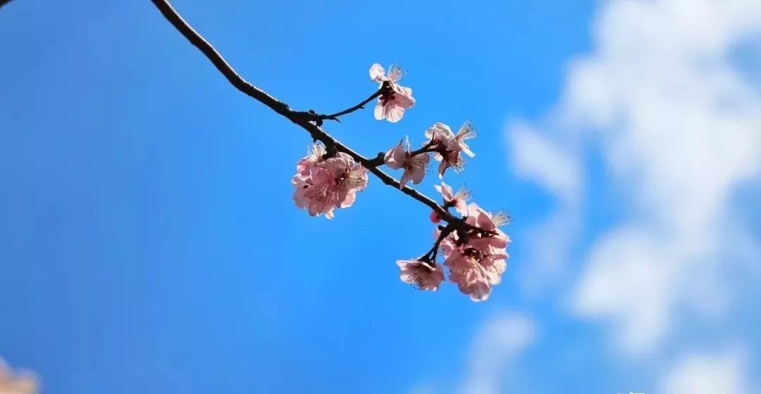 「儿童主播袁泽铭」《在路上》作者：碑林路人