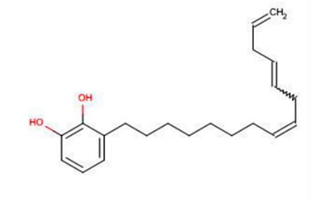 古代的盔甲是什么样的,古代的盔甲有防御效果吗