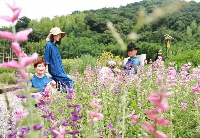 “土气”的休闲农业，正成为高端品牌争抢的“联姻”对象