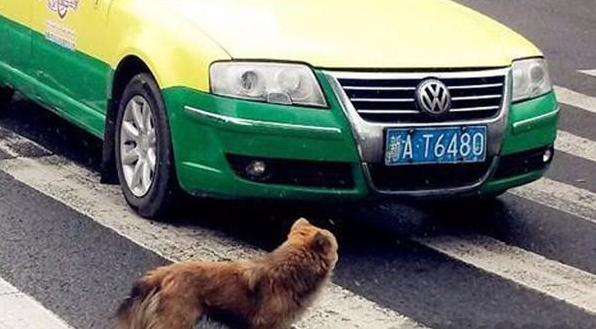 安全驾驶技巧避开陷阱的有效方法,8个实用的安全驾驶技巧