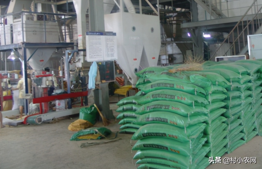 适合农村创业的最新致富项目,多个适合在家里创业致富的好项目