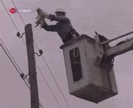 哈哈哈哈哈gif,哈哈哈哈哈图