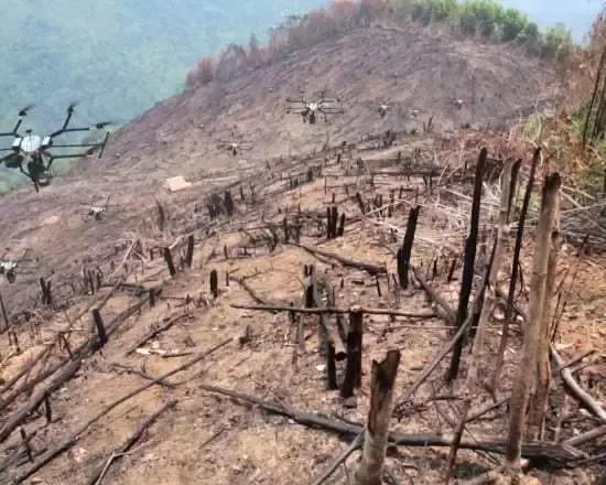 植树节标志设计简单,植树节设计