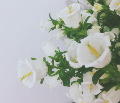 什么花适合送给妈妈除了康乃馨,送母亲的康乃馨花大全