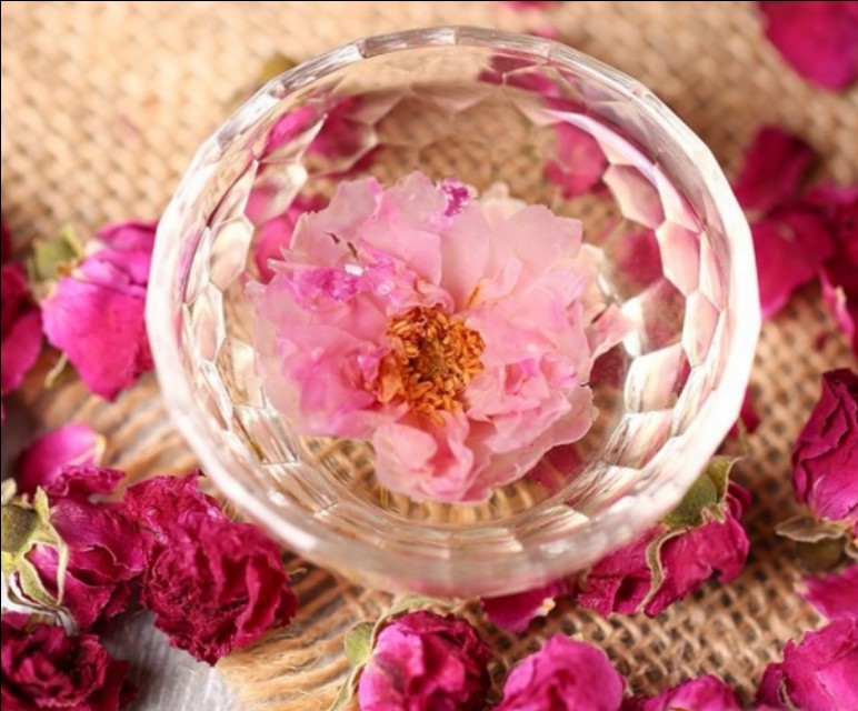 区分月季和玫瑰的正确方法,蔷薇属中的蔷薇月季玫瑰如何区别