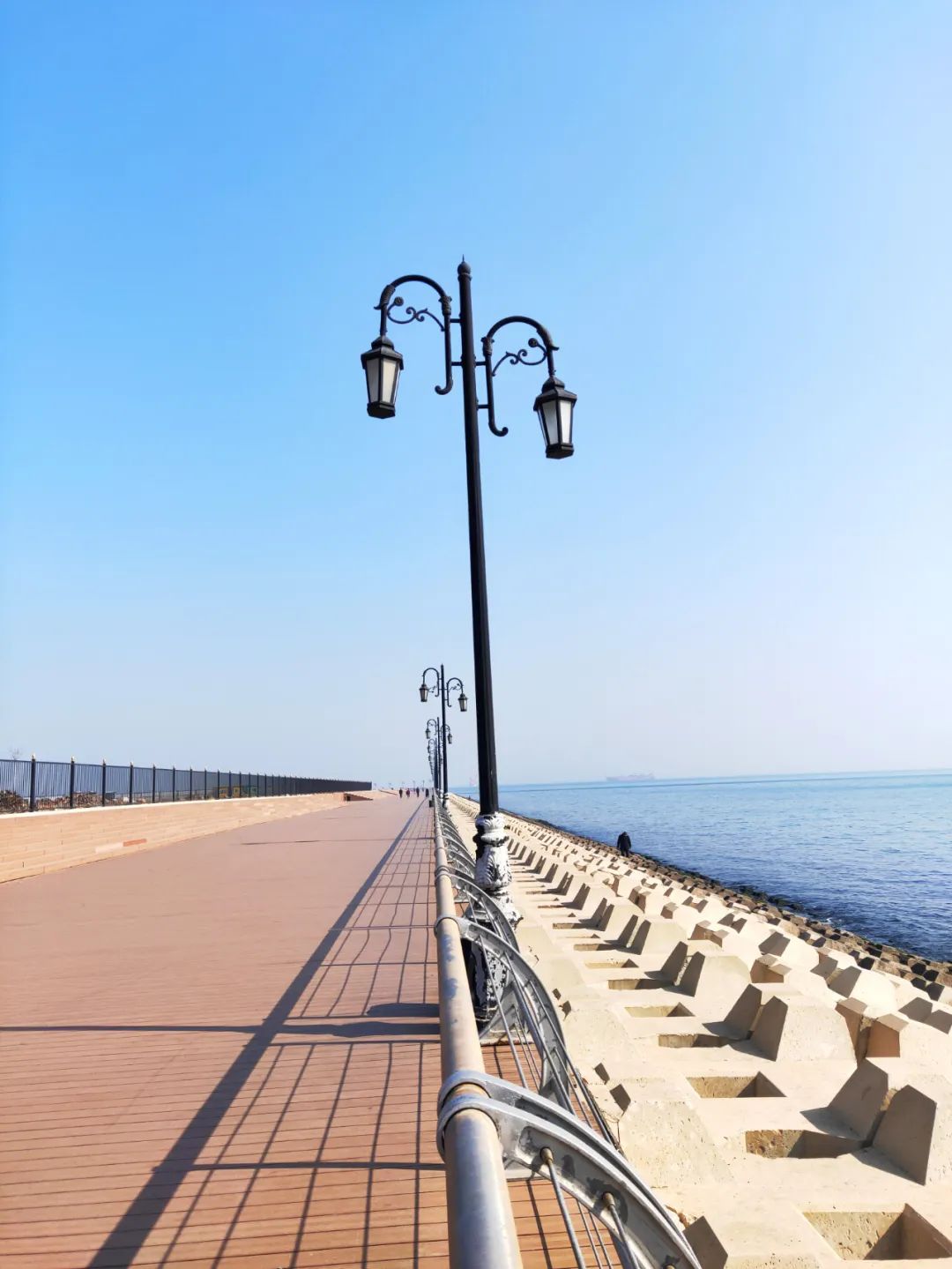 2022春节大连本命年免费景点,大连免费景点排行榜前十名